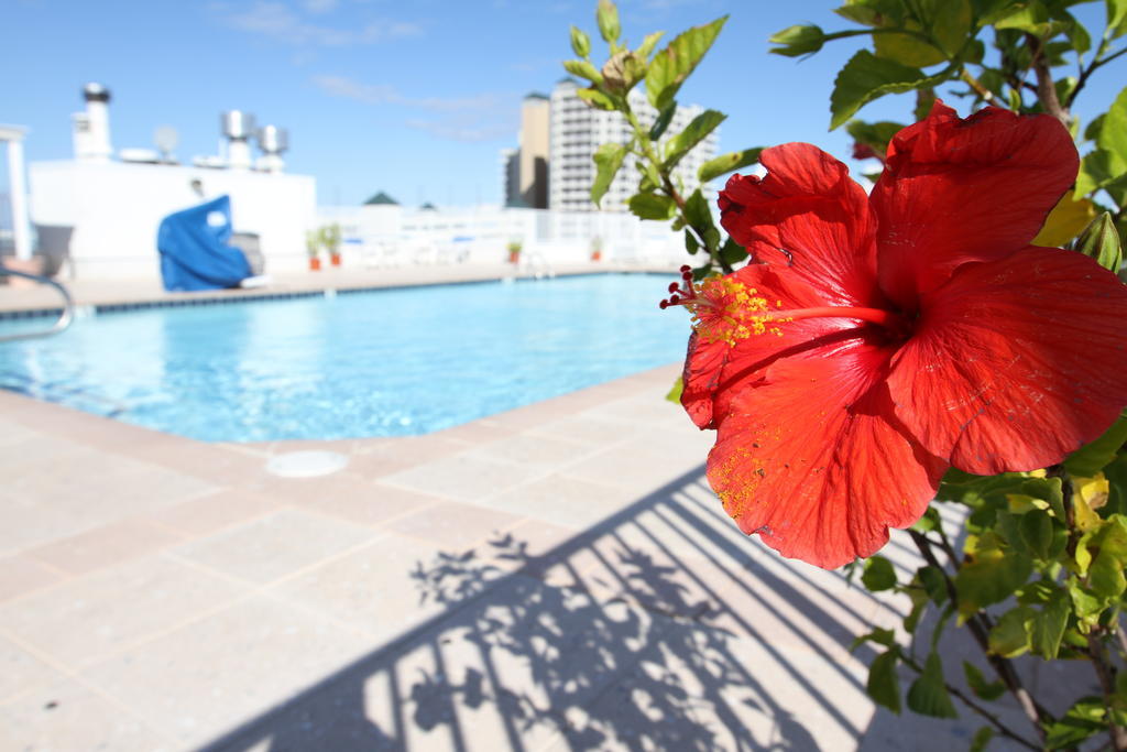 Princess Bayside Beach Hotel Ocean City Kültér fotó