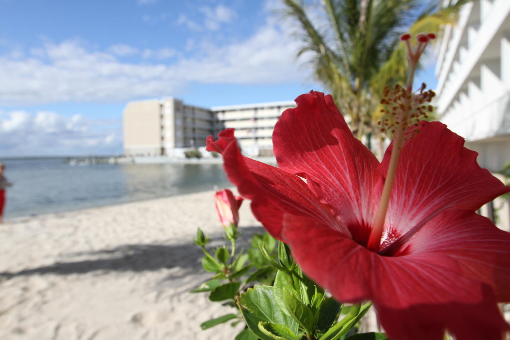 Princess Bayside Beach Hotel Ocean City Kültér fotó